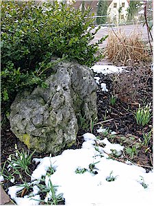 Neunkirchen im Bild der Winter ist besiegt...