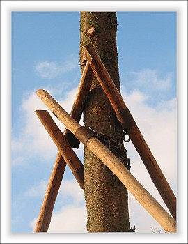 Neunkirchen im Bild <b> Die Kerwab&auml;ume stehen! </b><br><span style=