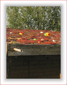Neunkirchen im Bild <b> Dachspielplatz?</b><br><span style=
