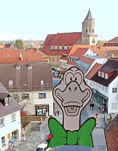 Neunkirchen im Bild <b>Im Zeichen der Gans...</b>