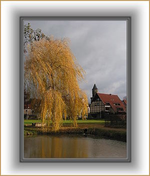 Neunkirchen im Bild Novemberlicht