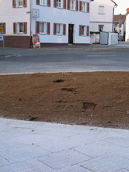 Neunkirchen im Bild Jaahrelang.....