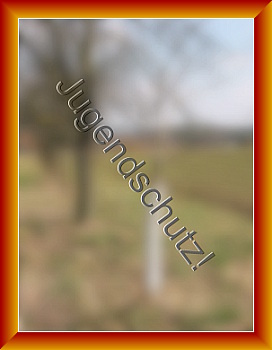 Neunkirchen im Bild ? ? ?