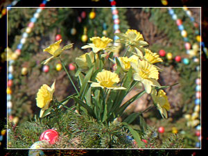 Neunkirchen im Bild Frohe Ostern!