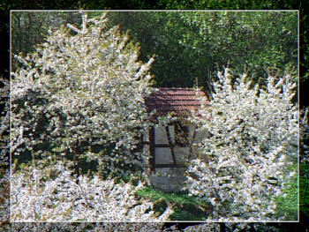 Neunkirchen im Bild die 