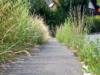 Neunkirchen im Bild durch diese hohle Gasse....