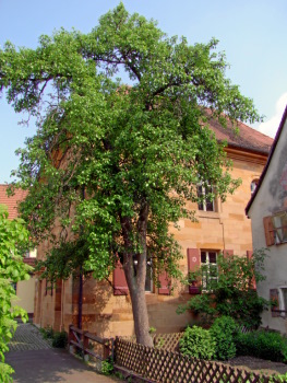 Neunkirchen im Bild Konzert zum Saisonausklang in der Synagoge Ermreuth