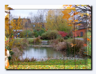Neunkirchen im Bild November