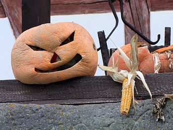 Neunkirchen im Bild Herbstlicher Schrumpfkopf