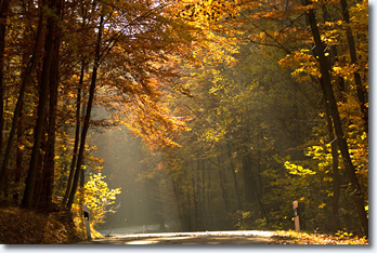 Neunkirchen im Bild Herbst in Neunkirchen